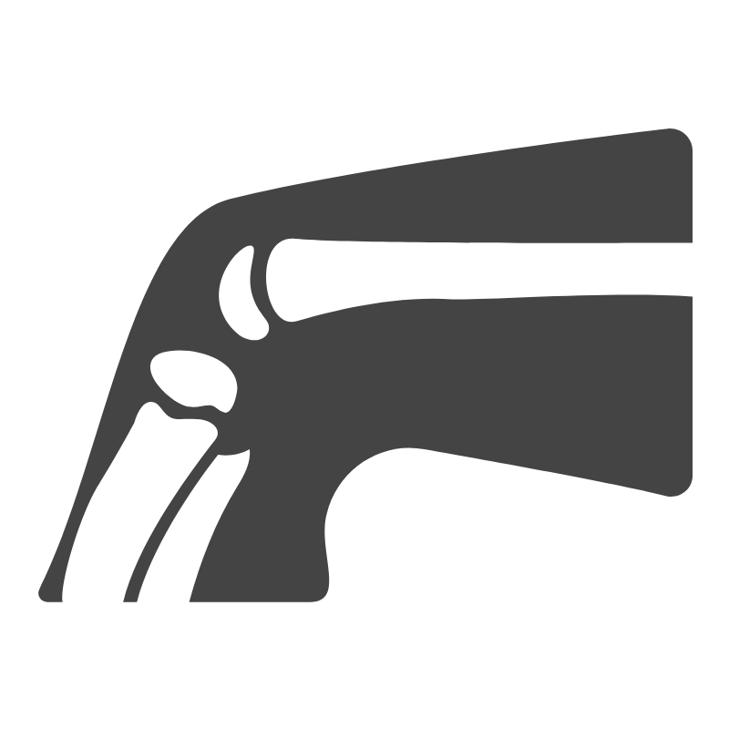 Bone Health Icon