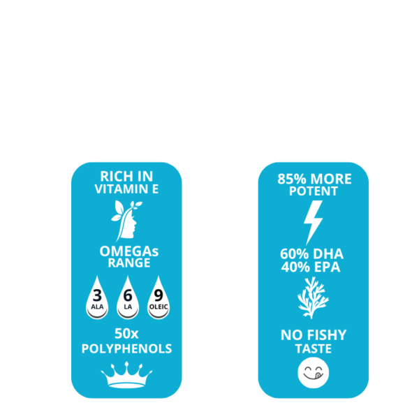 Olive Oil Icons-14