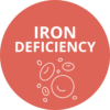 iron deficiency anemia pomegranate with gentle iron and b12