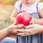 Pomegranate brain health kids milestone food for your genes