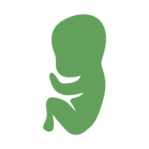 Natural Pregnancy Wellness Olive & Algae Omega3s MILESTONE®