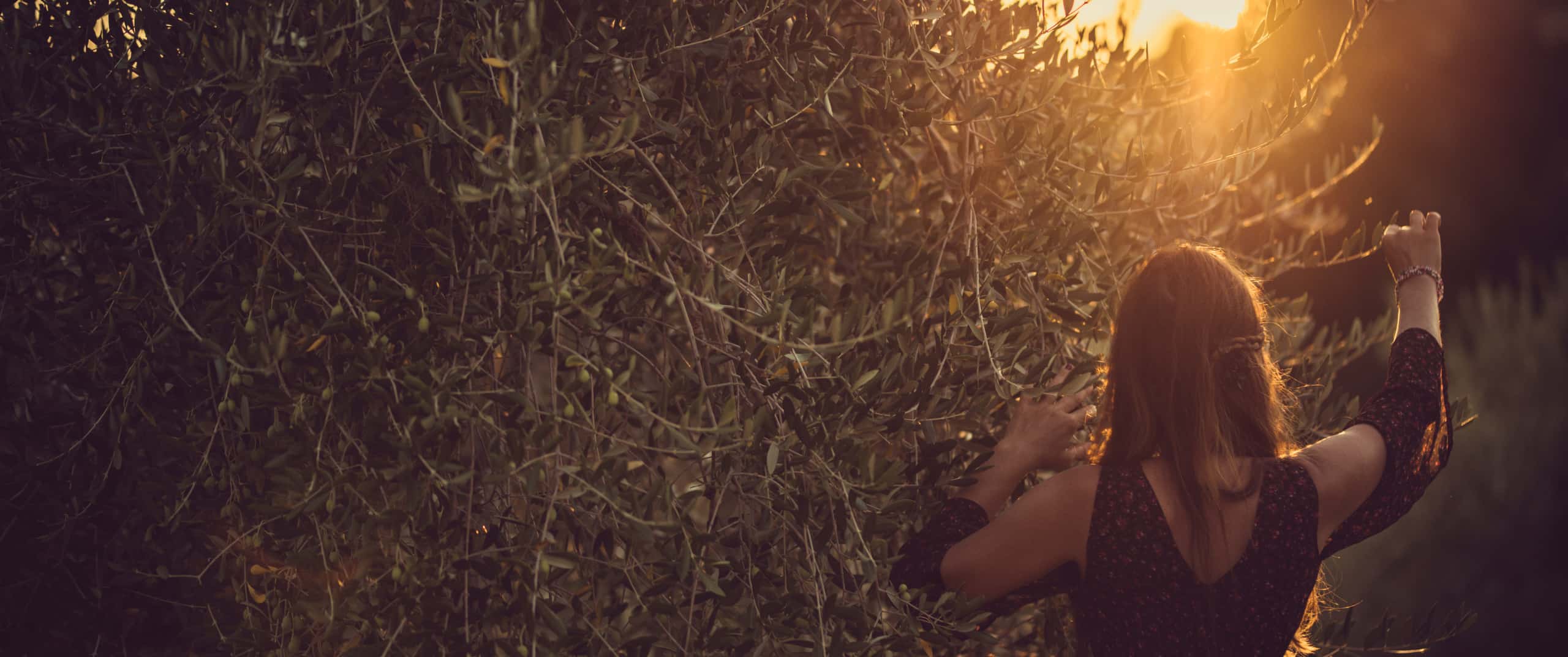 Natural Pregnancy Wellness Olive & Algae Omega3s MILESTONE®