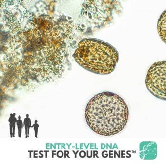 GENESIS <br><strong>Test for Your Genes™</strong>